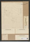 Cerataulus laevis (Ehr.) Ralfs. (de-Toni-Nr.: Genus 173, Species 4435) Zeichnungen Sammlung Grunow Nr. 8002 (NHMW-BOT-W0377298)